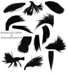 hair brushes 2 -full hair-