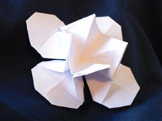 Origami diagrams