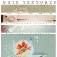 8 big textures - flower in