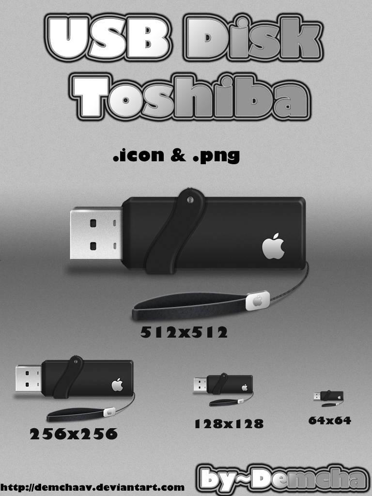 USB Disk Toshiba