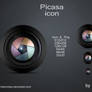 Picasa Icon