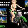 MMD   Kawasaki KX Bike  DL