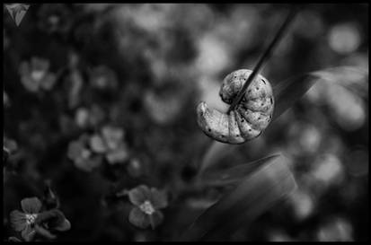 LABORA II [DolphinByDefault]