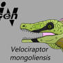 JP Velociraptor mongoliensis
