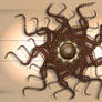 Circle Series 13 4K