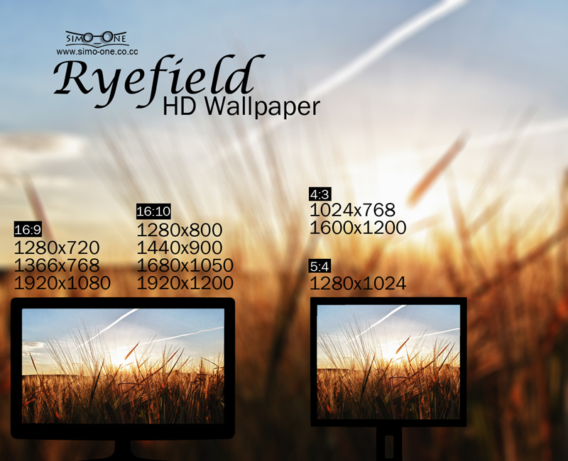 Rye Field HD Wallpaper