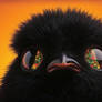 An entranced chicken