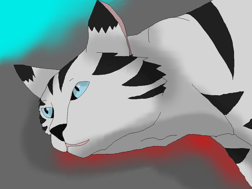 Warrior Cats Animated Silverstream S Final Words By Xx