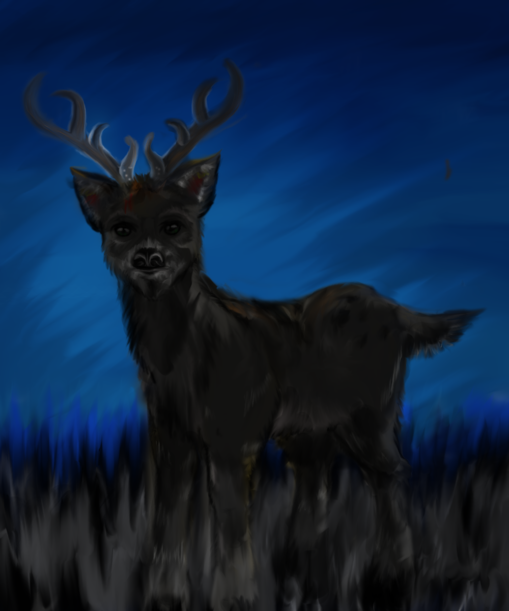 Deer by hiddenshadow64 on DeviantArt