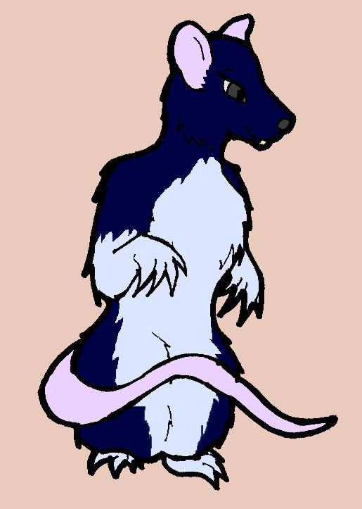 BarinkiRat by Ferret-X on DeviantArt