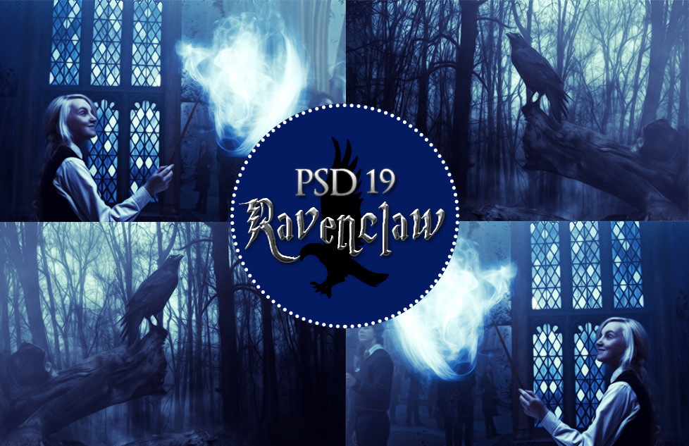 PSD 19 - Ravenclaw