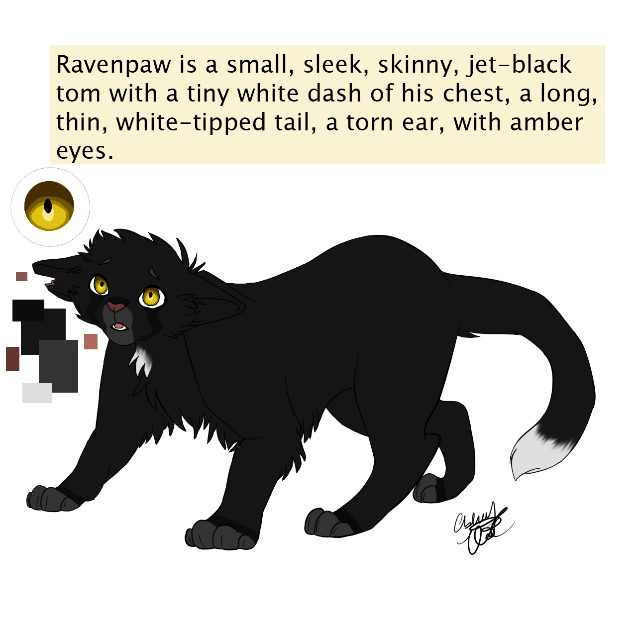 Ravenpaw by weak-punk on DeviantArt  Warrior cats art, Warrior cats books, Warrior  cats series