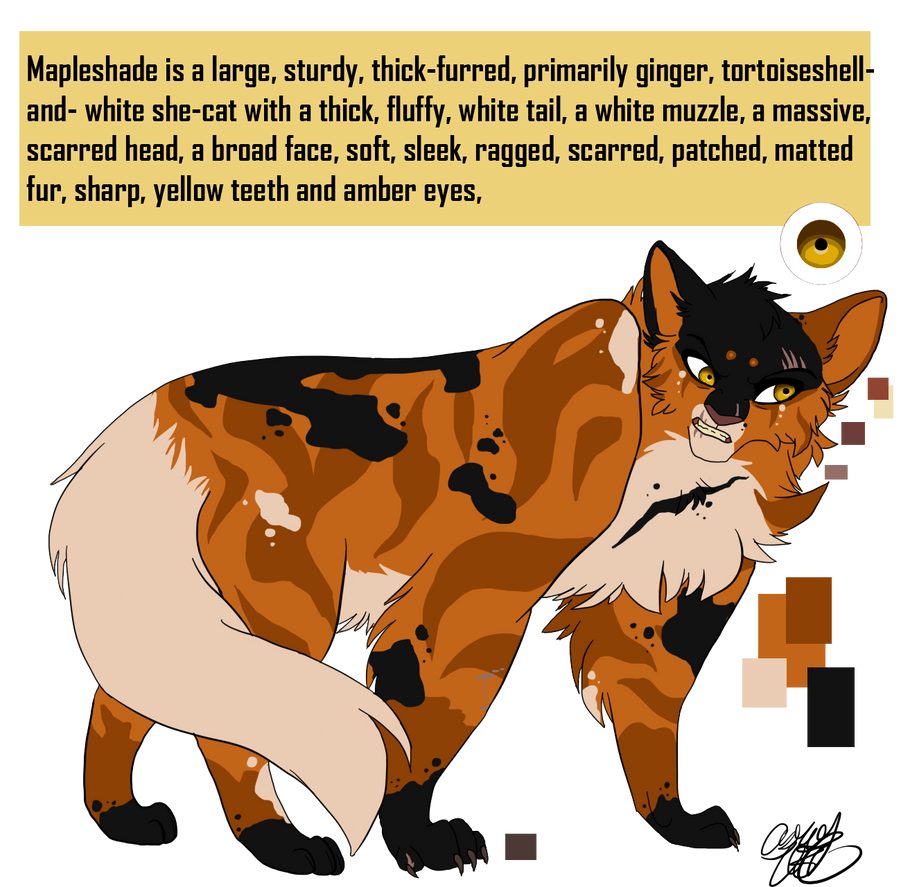 Mapleshade by PureSpiritFlower on DeviantArt