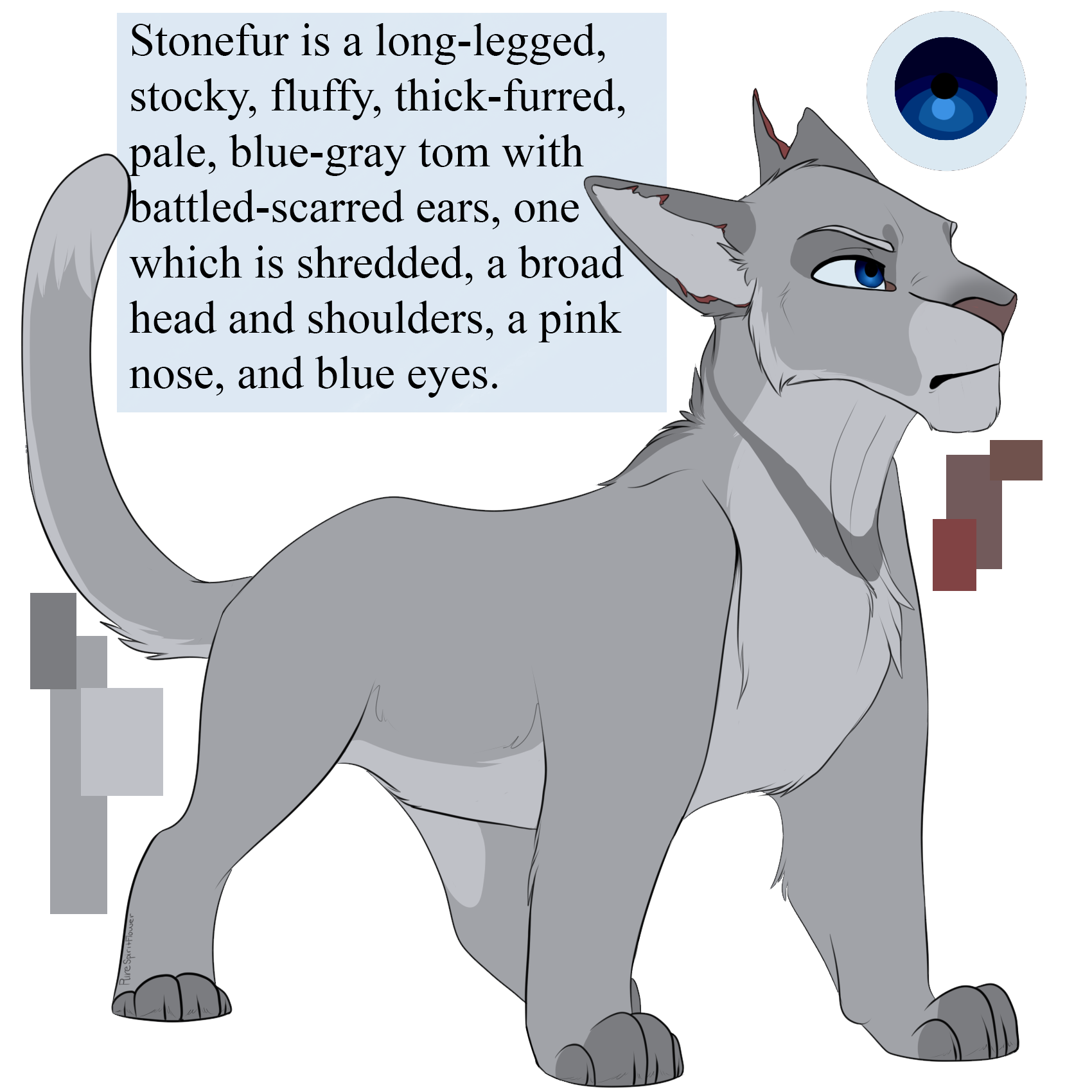 Longtail according to Warriors Wiki by L-i-n-e-S on DeviantArt