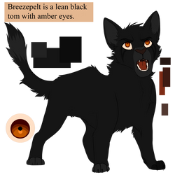 Breezepelt