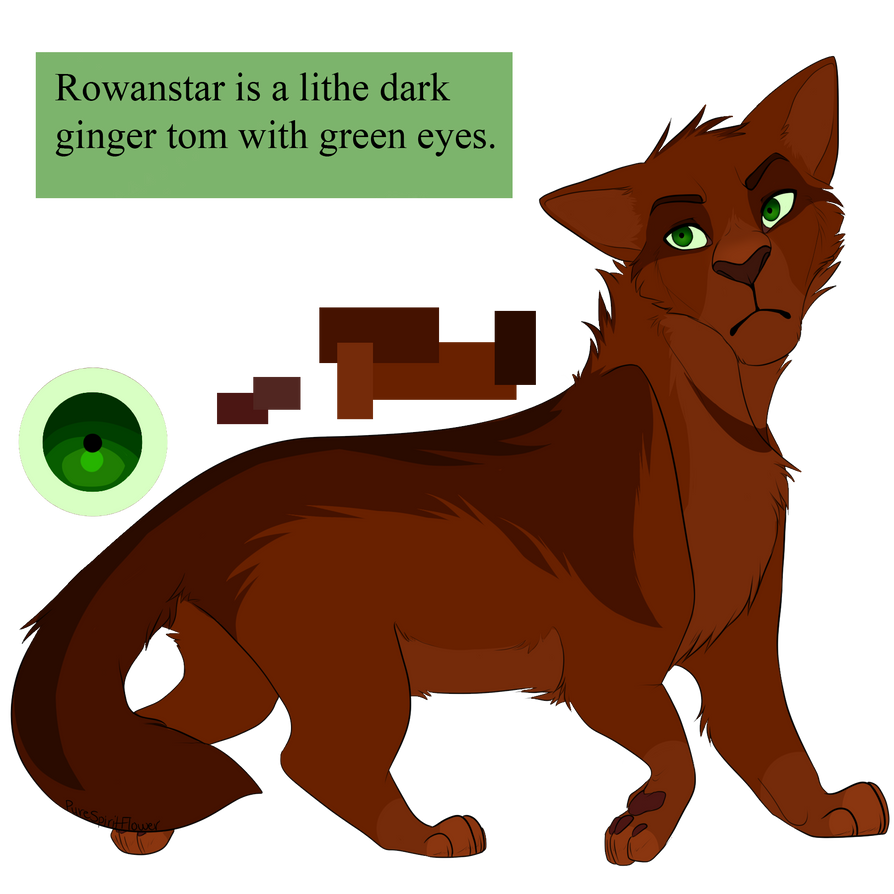 Rowanstar by PureSpiritFlower on DeviantArt