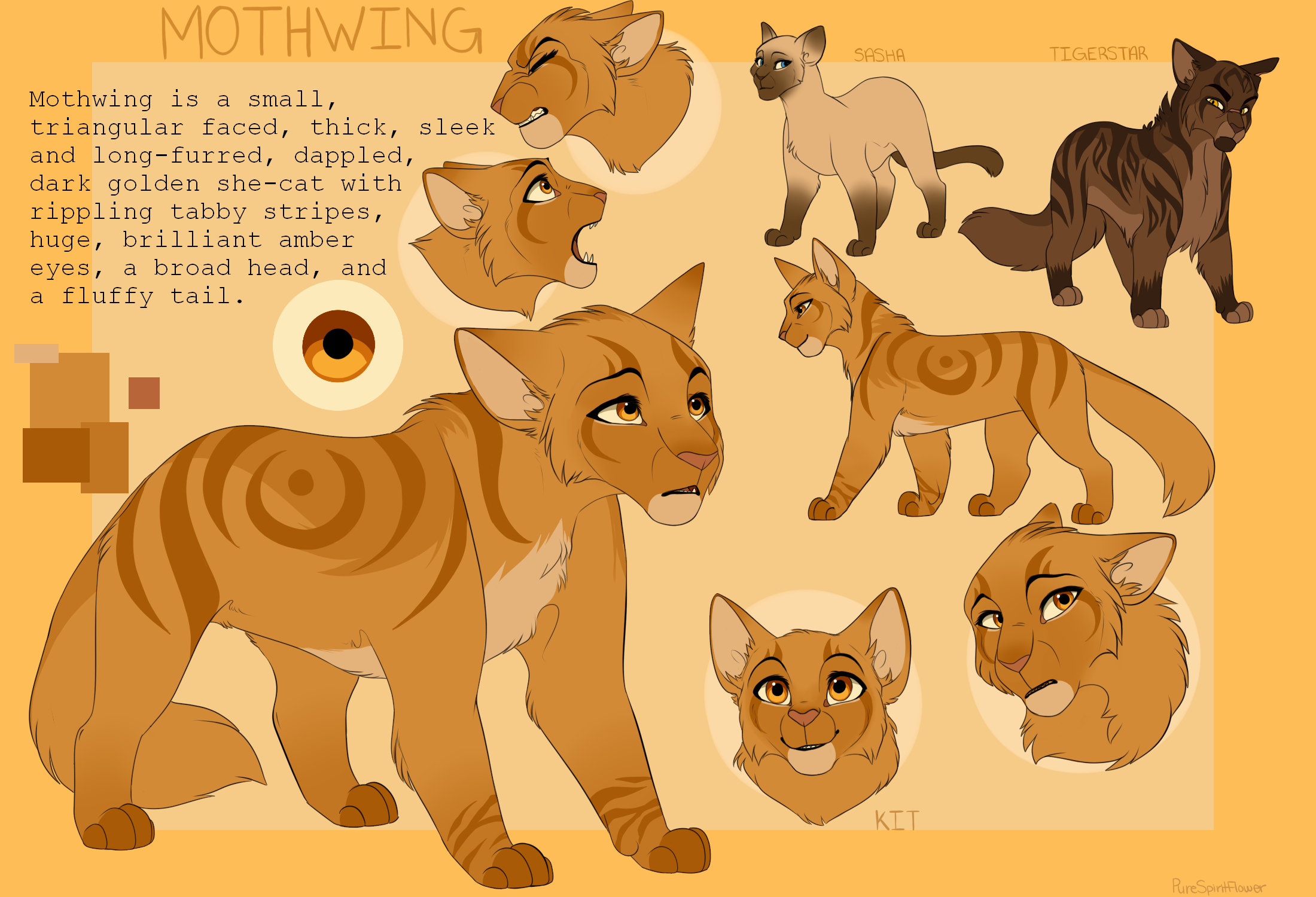 Mothwing by PureSpiritFlower on DeviantArt