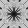 Bone Mandala