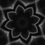Graphite Mandala