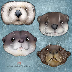 F2U Otter Headshot Lines