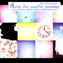 Rose des quatre saisons
