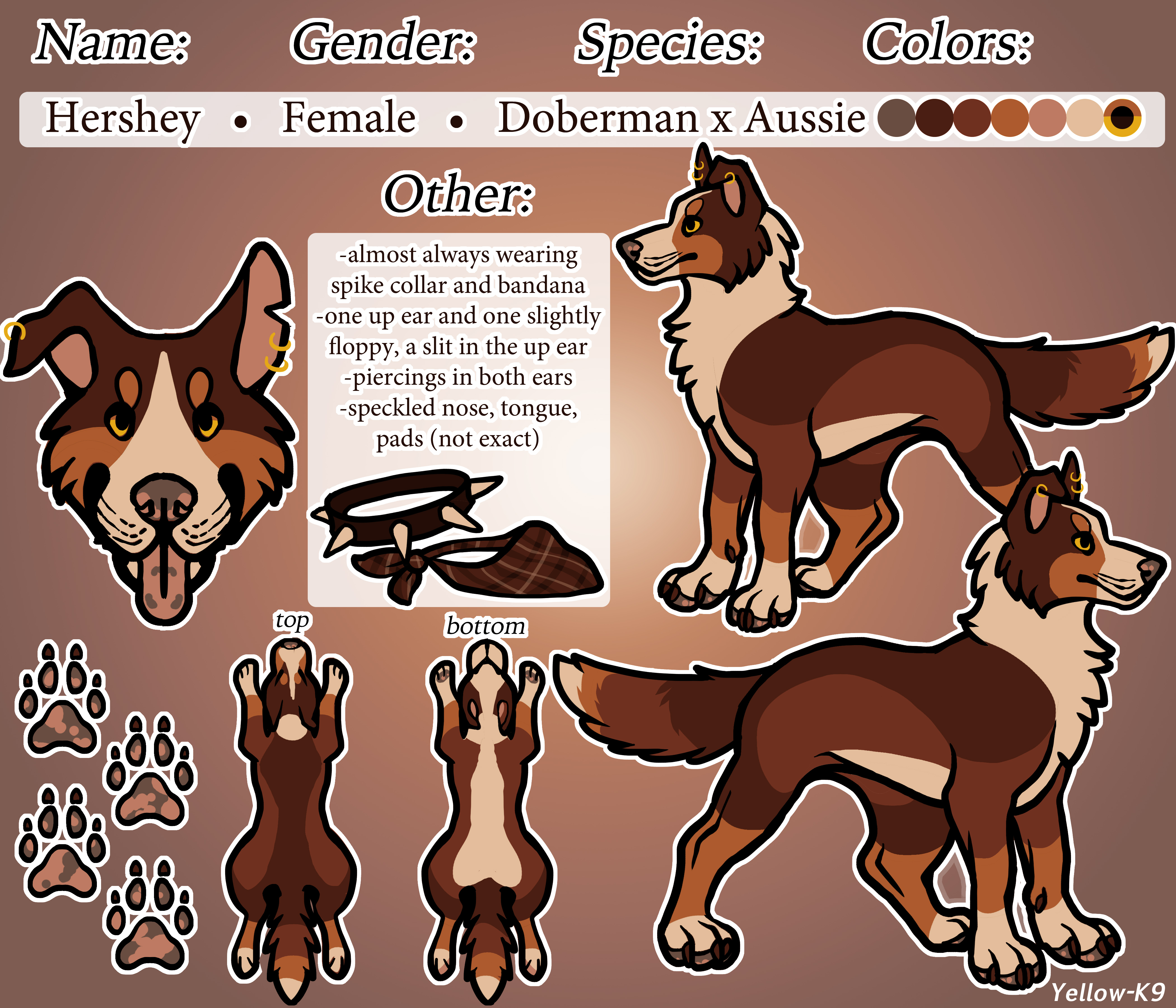 Hershey Ref by Yellow-K9 on DeviantArt