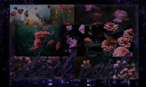 30 stock photo pack by MarikoPt on DeviantArt