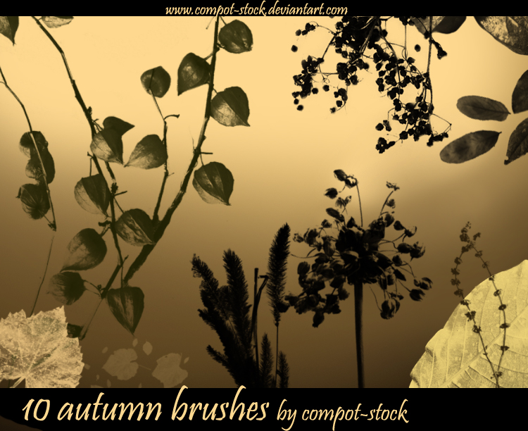 autumn brushes