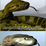 Snake-Tongue for Poser/DAZ-Studio