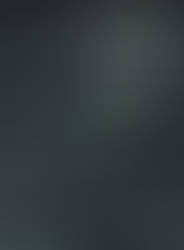 everforest for Windows 10