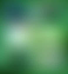 GIN 24 for Windows 11