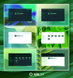 GIN 24 for Windows 11