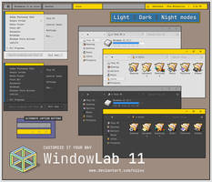 WindowLab 11