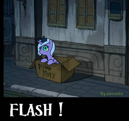 Flash - Luna in a box