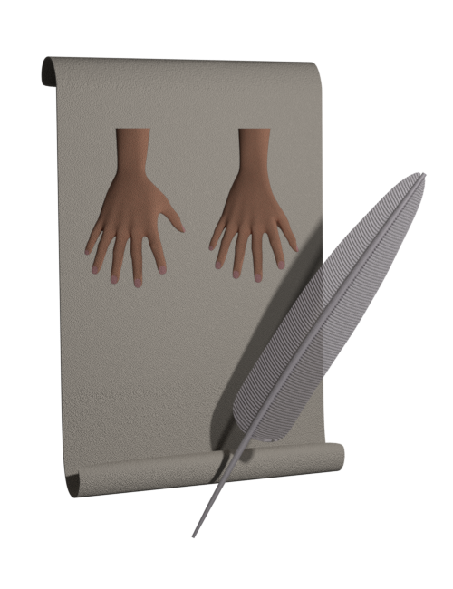 Anatomy polydactyly essay 04 image