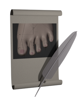 Rigging Feet And Toes