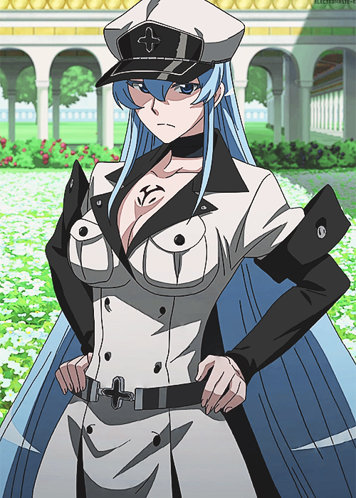 Esdeath x Male!Reader by XSweetxNightmareX on DeviantArt