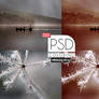 PSD Coloring 010