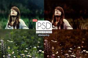 PSD Coloring 012