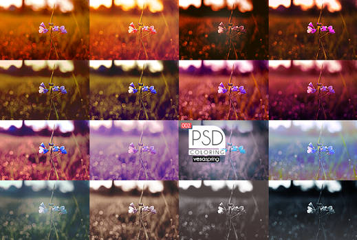 PSD Pack - Summer