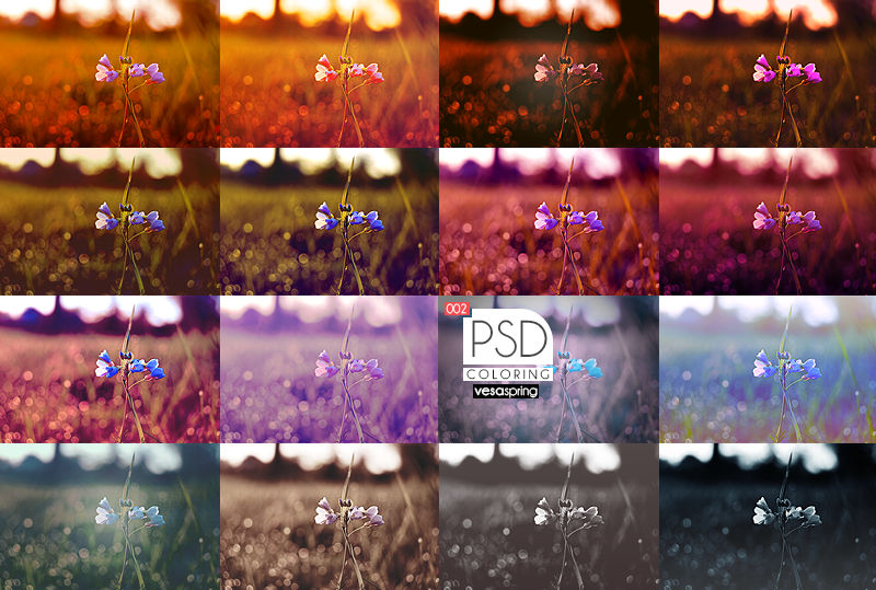 PSD Pack - Summer