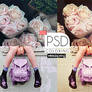 PSD Coloring 032