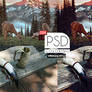 PSD Coloring 034