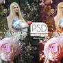 PSD Coloring 035