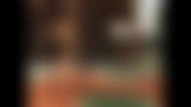 Ayyla's Basketball Roundabout