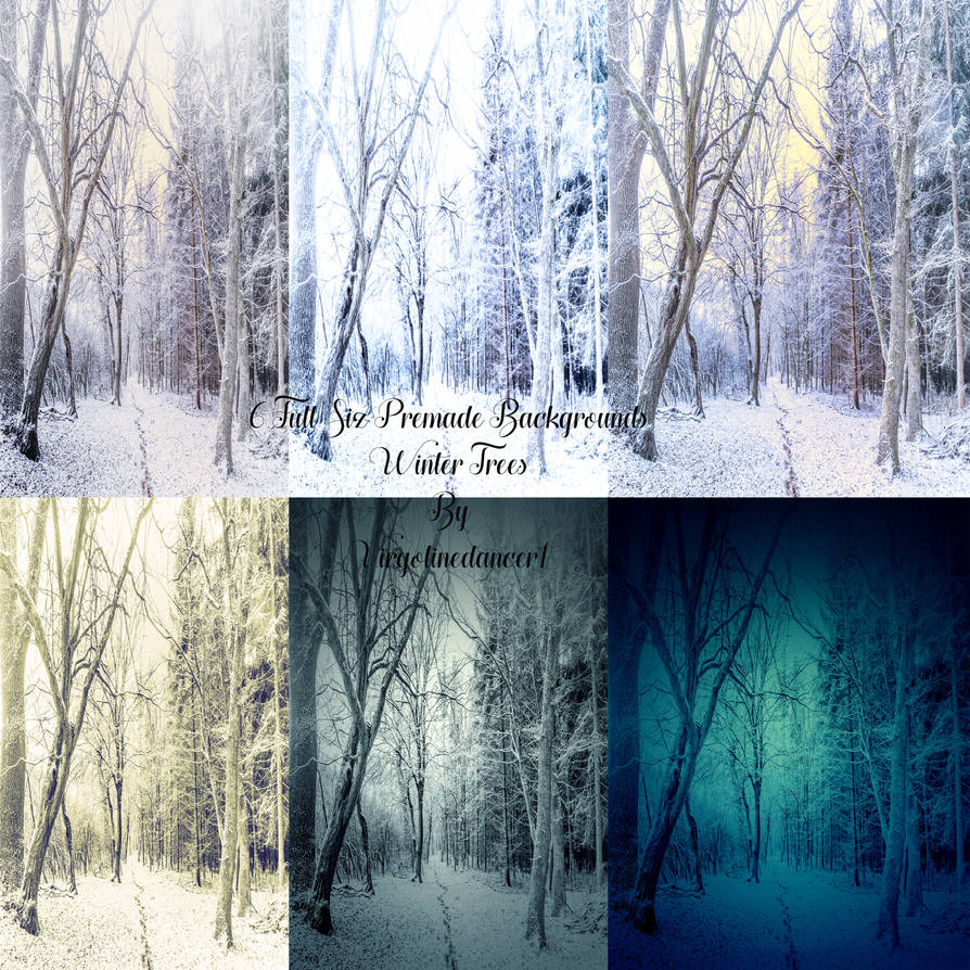 Winter Trees Premade Background Set Of 6 By Virgolinedancer1