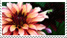 flower_stamp by Xx-baCkUp-girl-xX