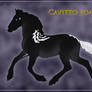 1433 Foal Design