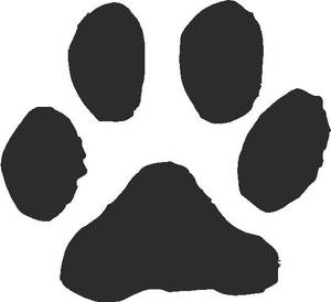 Cat Paw Print Vector