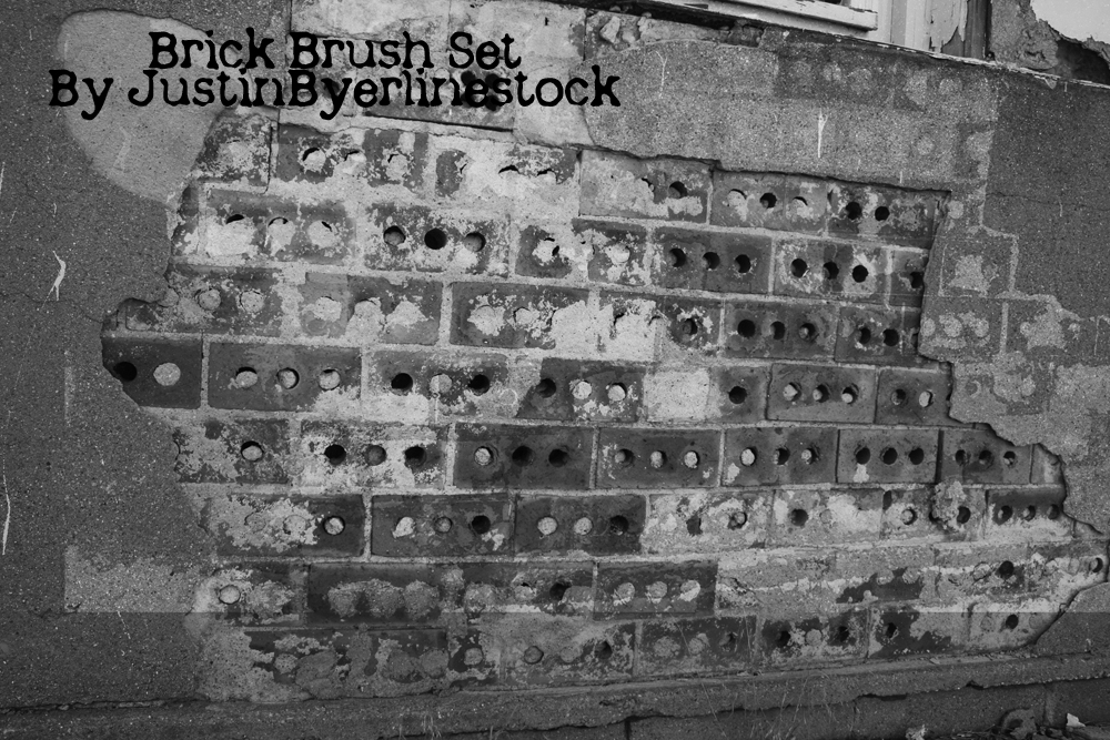 Brick Brush set